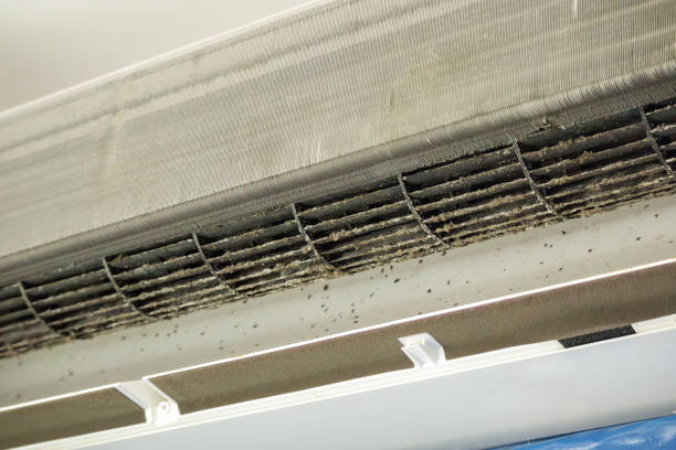 Best Residential Air Duct Cleaning  in Cordaville, MA